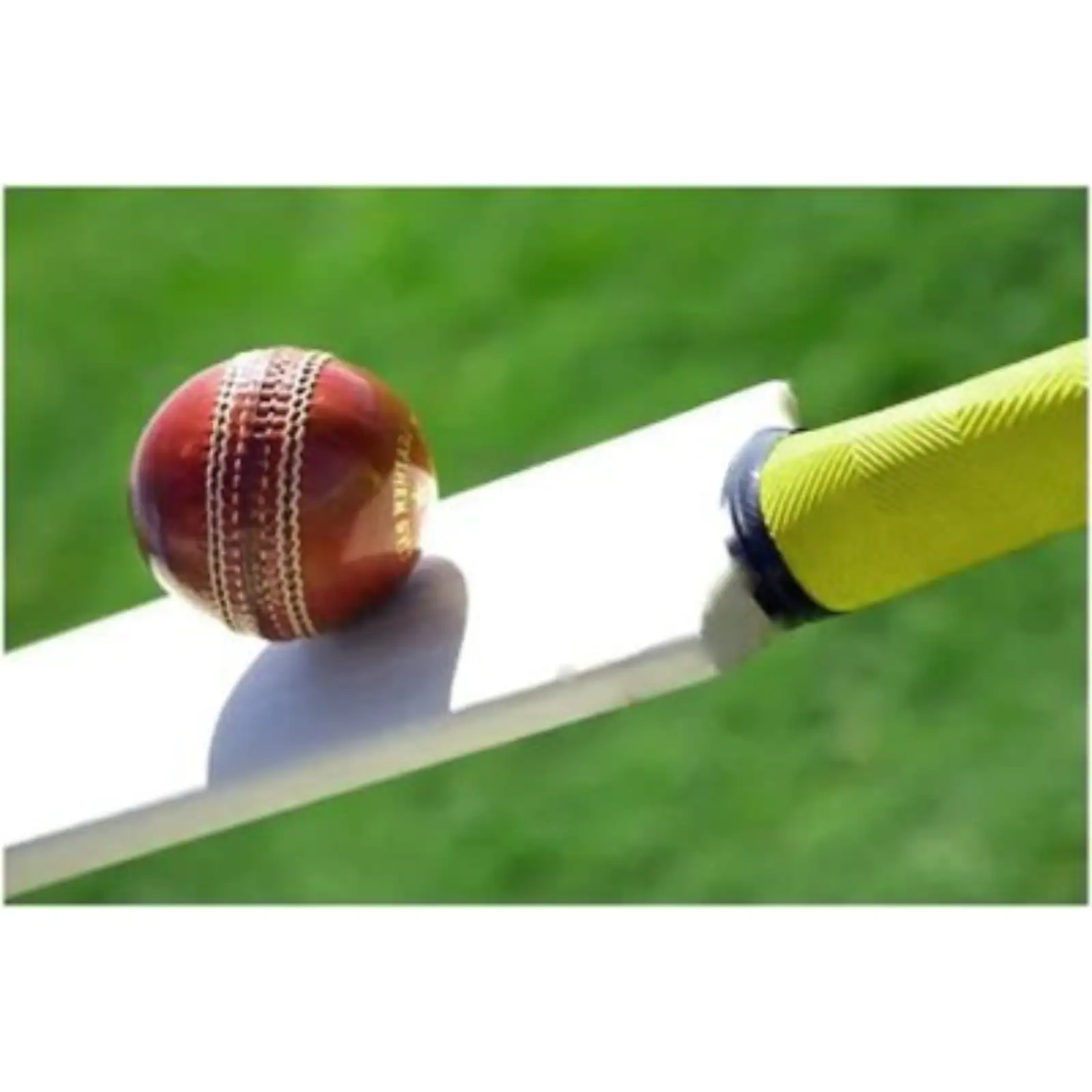 live cricket betting